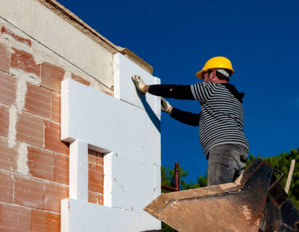 Best Insulation for New Construction  in Osceola, MO
