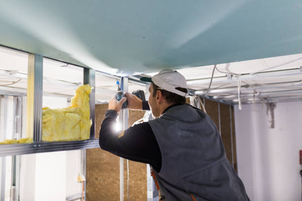 Best Fiberglass Insulation  in Osceola, MO