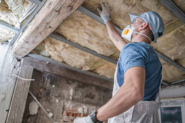 Best Professional Insulation Contractor  in Osceola, MO