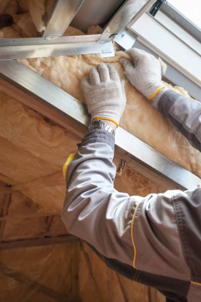 Best Attic Insulation Installation  in Osceola, MO