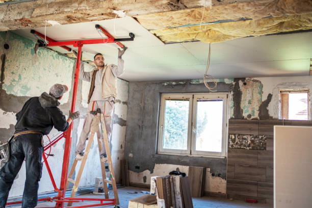 Best Spray Foam Insulation  in Osceola, MO