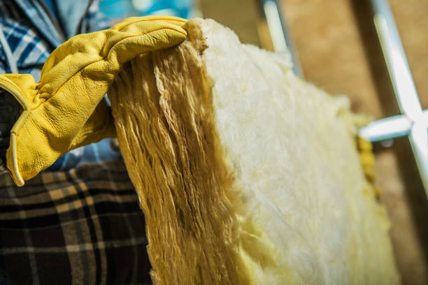 Best Local Insulation Services  in Osceola, MO
