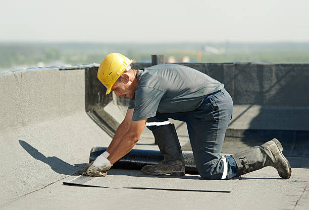 Best Insulation Repair Services  in Osceola, MO
