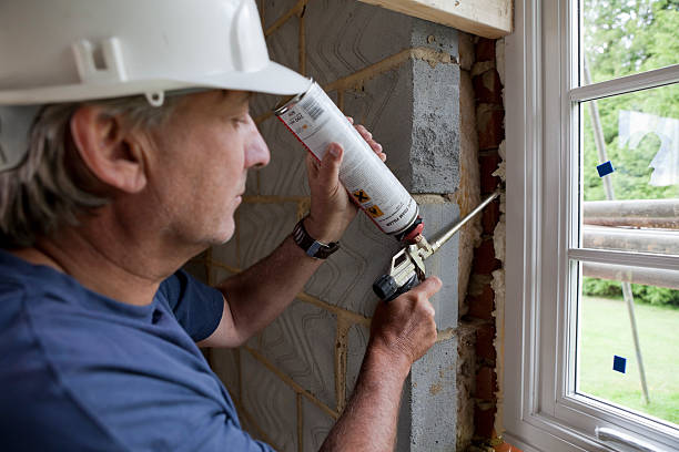 Best Home Insulation Services  in Osceola, MO