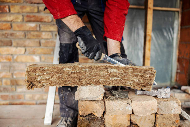 Best Blown-in Insulation  in Osceola, MO