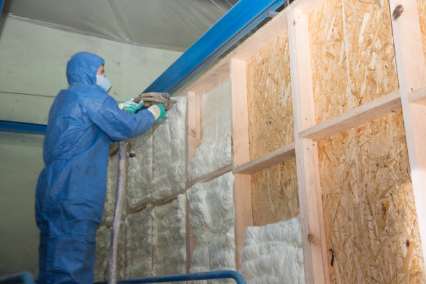 Soundproof Insulation Installation in Osceola, MO