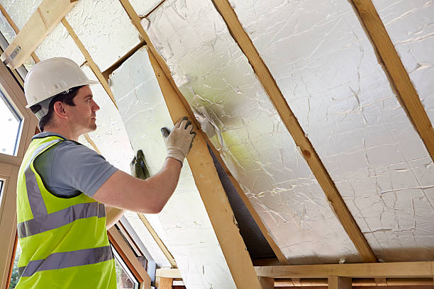 Best Blown-in Insulation  in Osceola, MO